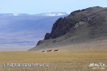 西藏羌塘国家级自然保护区照片