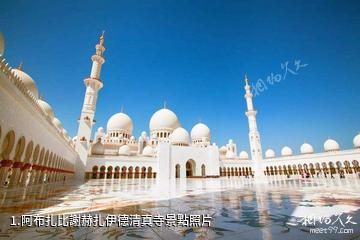 阿布扎比謝赫扎伊德清真寺照片