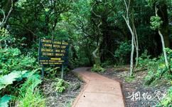 哥斯达黎加波阿斯火山旅游攻略之国家公园