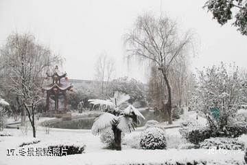 隴南金徽酒文化生態旅遊景區-冬景照片