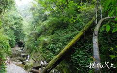 贵州亚木沟旅游攻略之峡谷