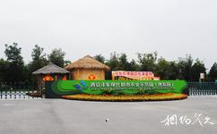 西安沣东现代都市农业博览园旅游攻略之沣东现代都市农业博览园