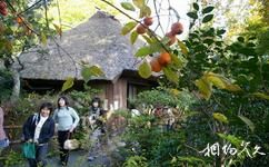 日本京都嵐山旅遊攻略之落柿舍