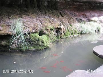 崇信龍泉寺-靈沼魚化照片