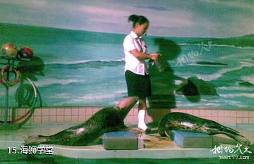 杭州海底世界-海狮学堂照片