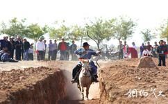 阿拉善盟巴丹吉林沙漠旅游攻略之骑马射箭比赛