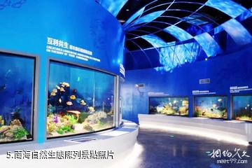 中國(海南)南海博物館-南海自然生態陳列照片