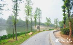 泗阳奥林匹克生态公园旅游攻略之奥林匹克生态公园