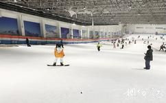 绍兴乔波冰雪世界旅游攻略之滑雪馆