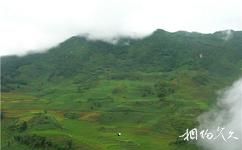 雲南金平分水嶺國家級自然保護區旅遊攻略之西隆山