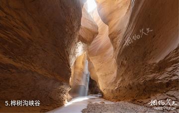 延安甘泉大峡谷-桦树沟峡谷照片