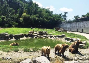 宁波雅戈尔动物园-动物照片