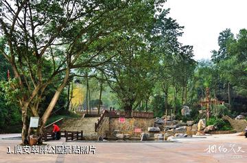 廣安萃屏公園照片