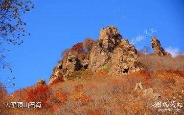 茅荆坝国家森林公园-平顶山石海照片