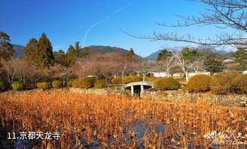 日本天龙寺-京都天龙寺照片