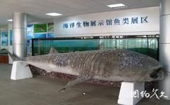 刘家湾赶海园旅游攻略之海洋生物馆
