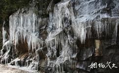 景宁草鱼塘森林公园旅游攻略之冰瀑
