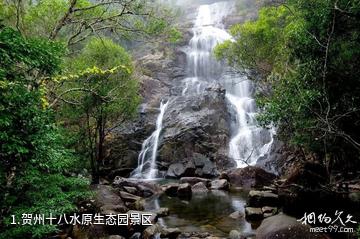 贺州十八水原生态园景区照片