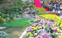 重慶江北鴻恩寺公園旅遊攻略之花卉