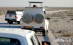 纳米比亚埃托沙国家公园旅游攻略之探险项目