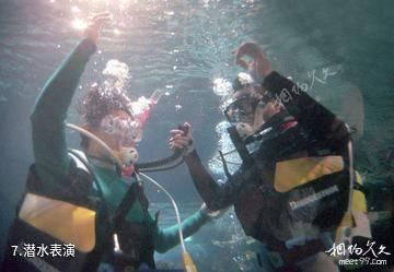 台北海洋生活馆-潜水表演照片