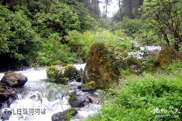 西藏扎日风景区-扎日洛河河谷照片