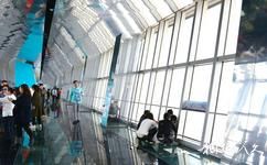 上海環球金融中心觀光廳旅遊攻略之觀光天閣