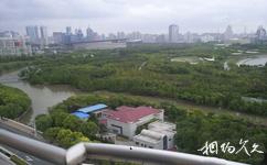 上海世紀公園旅遊攻略之觀景平台