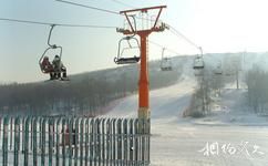 瀋陽怪坡旅遊攻略之滑雪場