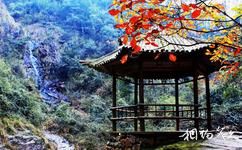 杭州大奇山國家森林公園旅遊攻略之小亭