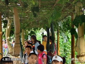 青島蔬菜科技示範園-展示棚照片