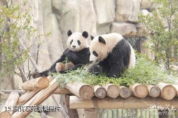 南通森林野生動物園-國寶家苑照片