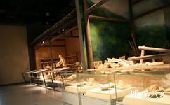 龍泉市博物館旅遊攻略之龍泉青瓷展史廳