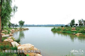 睢寧白塘河濕地公園照片
