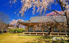 日本醍醐寺旅遊攻略之靈寶館