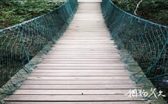 杭州千岛湖森林氧吧旅游攻略之山涧绳桥