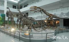 中國地質大學逸夫博物館校園概況之生命起源與進化展廳