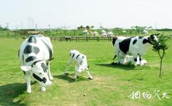南京淳化山田牛奶園旅遊攻略之牛奶文化