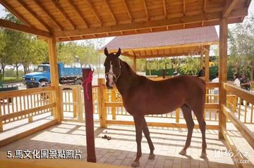 庫爾勒體育公園-馬文化園照片