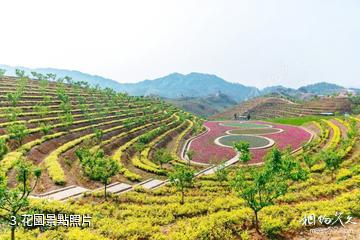 安化茶鄉花海生態文化體驗園-花園照片