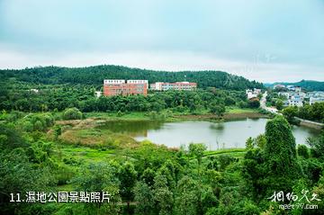 綿陽仙海旅遊景區-濕地公園照片