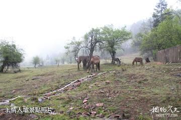 蘭坪羅古箐風景區-情人壩照片