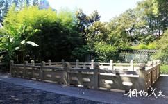 上海曲水园旅游攻略之放生池