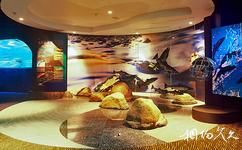 上海海洋水族馆旅游攻略之冷水区