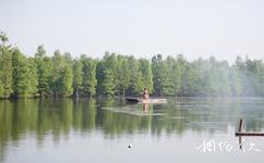 常熟虞山尚湖旅游攻略之水上森林