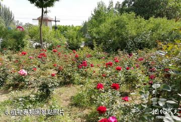 蘭州植物園-植物專類園照片