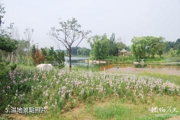 青州彌河文化旅遊區-濕地照片