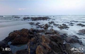 吴川吉兆湾-礁石照片