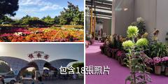 烏魯木齊植物園驢友相冊