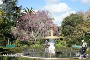 新西兰尼尔森市-城市花园照片